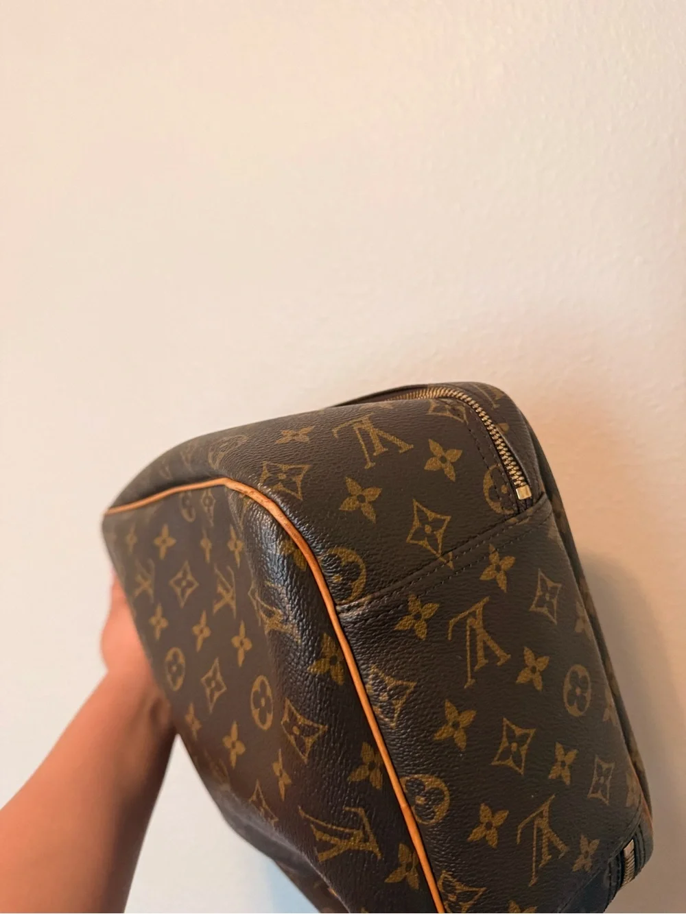 Louis Vuitton Monogram Excursion Shoe Bag